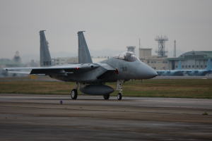 fo[F-15