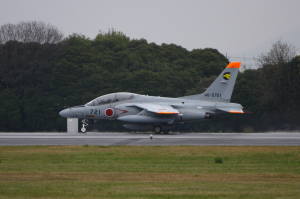 306sinjT-4