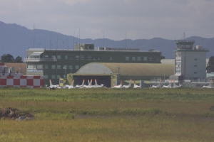 @T-4̉i