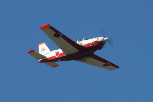 T-7̔sW