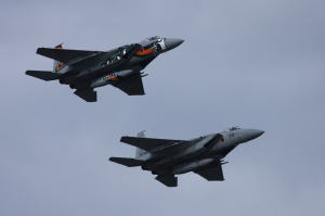 公募デザイン塗装を行ったF-15J