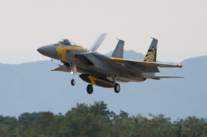 qՓhF-15